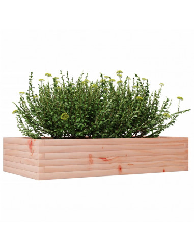 Fioriera da Giardino 110x60x23 cm in Legno Massello di Douglas