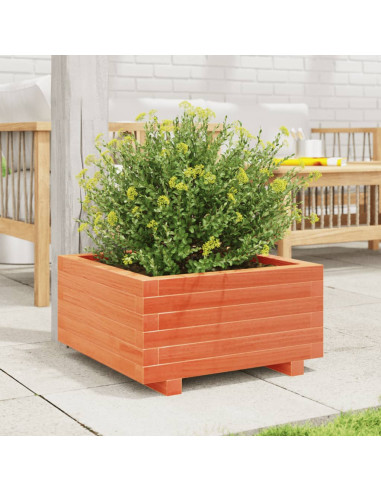 Fioriera Giardino Marrone Cera 50x50x26,5cm Legno Massello Pino