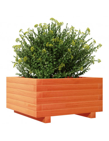 Fioriera Giardino Marrone Cera 50x50x26,5cm Legno Massello Pino