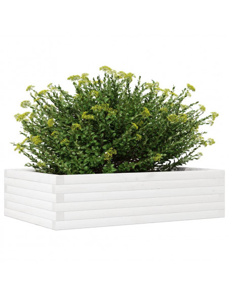 Fioriera da Giardino Bianca 90x60x23 cm Legno Massello di Pino
