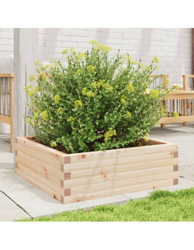 Fioriera da Giardino 70x70x23 cm in Legno Massello di Pino