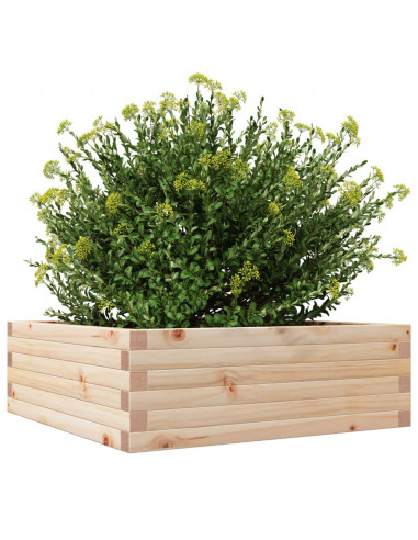 Fioriera da Giardino 70x70x23 cm in Legno Massello di Pino