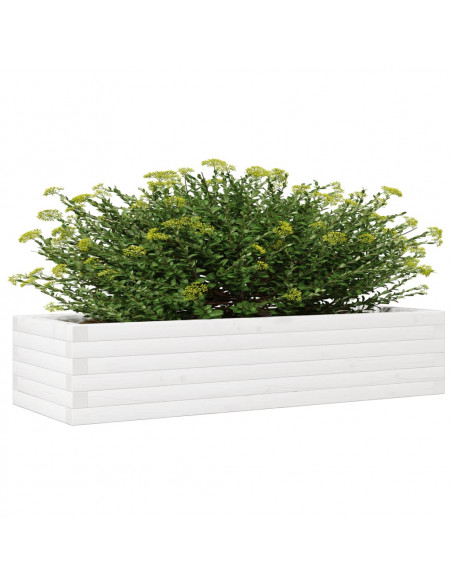 Fioriera da Giardino Bianca 110x40x23 cm Legno Massello di Pino