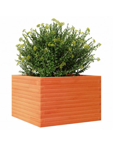 Fioriera Giardino Marrone Cera 70x70x45,5cm Legno Massello Pino