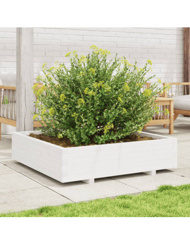 Fioriera da Giardino Bianca 100x100x26,5cm Legno Massello Pino