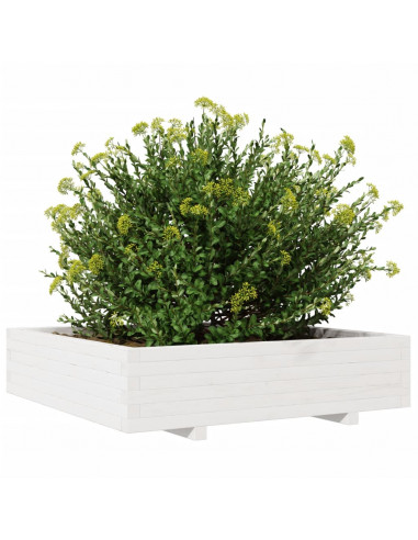 Fioriera da Giardino Bianca 100x100x26,5cm Legno Massello Pino