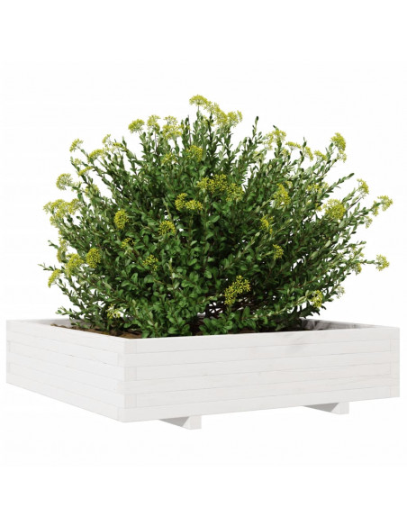 Fioriera da Giardino Bianca 100x100x26,5cm Legno Massello Pino