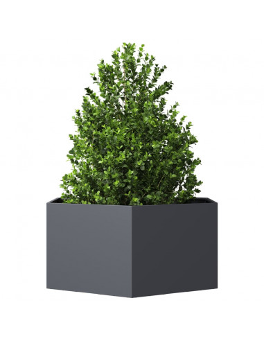 Fioriera da Giardino Antracite Esagono 104x90x45 cm in Acciaio