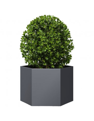 Fioriera da Giardino Antracite Esagono 69x60x45 cm in Acciaio