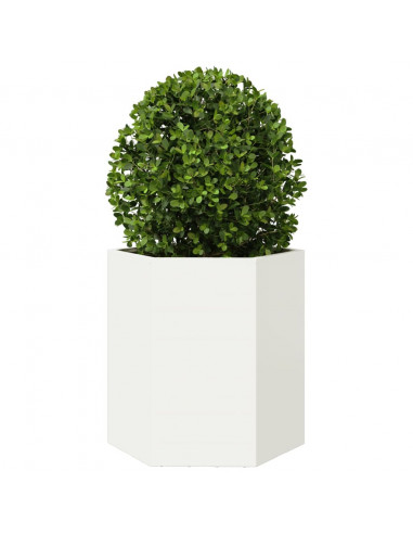 Fioriera da Giardino Bianca Esagono 46x40x45 cm in Acciaio