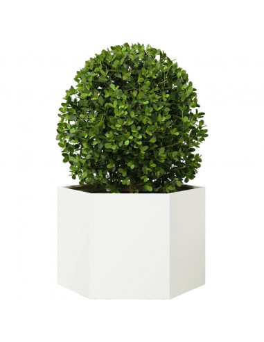 Fioriera da Giardino Bianca Esagono 69x60x45 cm in Acciaio