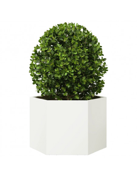 Fioriera da Giardino Bianca Esagono 69x60x45 cm in Acciaio