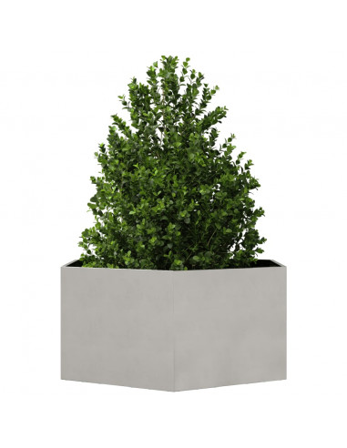 Fioriera da Giardino Esagono 104x90x45 cm in Acciaio Inox