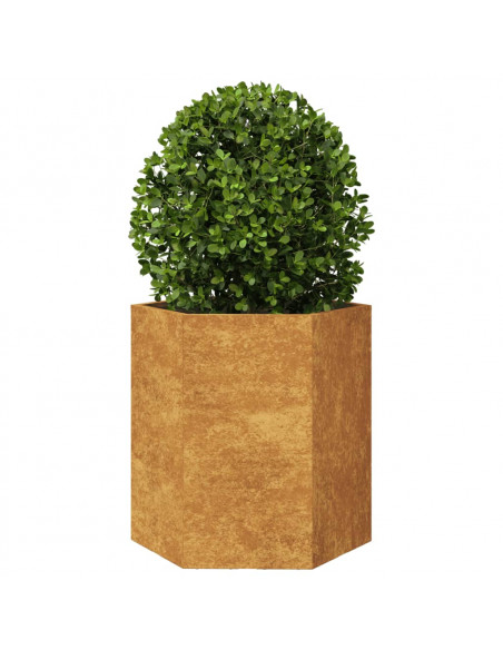 Fioriera da Giardino Esagono 46x40x45 cm in Acciaio Zincato
