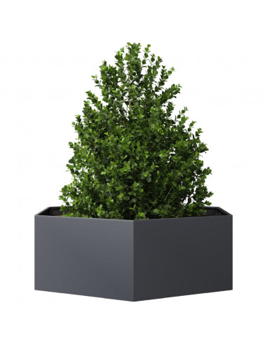 Fioriera da Giardino Antracite Esagono 138x120x45 cm in Acciaio