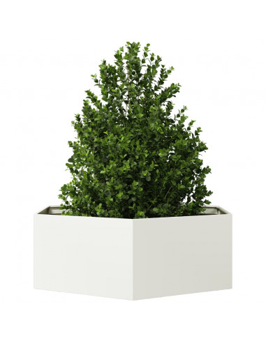 Fioriera da Giardino Bianca Esagono 138x120x45 cm in Acciaio