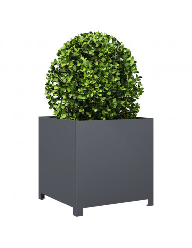 Fioriera da Giardino Antracite 50x50x50 cm in Acciaio