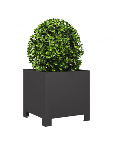 Fioriera da Giardino Nera 30x30x30 cm in Acciaio
