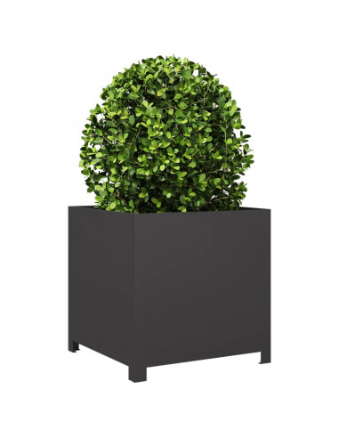 Fioriera da Giardino Nera 50x50x50 cm in Acciaio