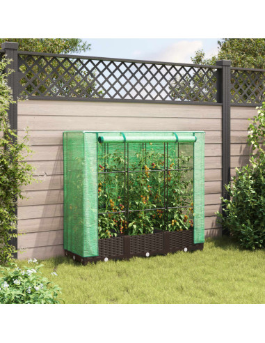 Letto Rialzato con Copertura Serra Effetto Rattan 120x40x123 cm