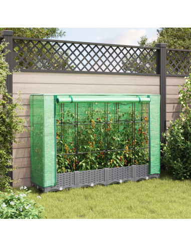 Letto Rialzato con Copertura Serra Effetto Rattan 160x40x123 cm