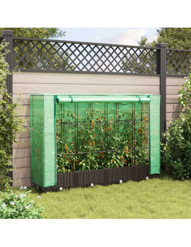 Letto Rialzato con Copertura Serra Effetto Rattan 160x40x123 cm