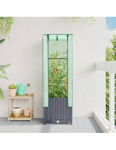 Letto Rialzato con Copertura Serra Effetto Rattan 40x40x139 cm