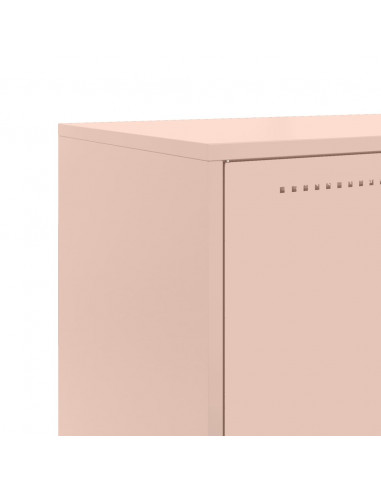 Credenza Rosa 68,5x38,5x123,5 in Acciaio