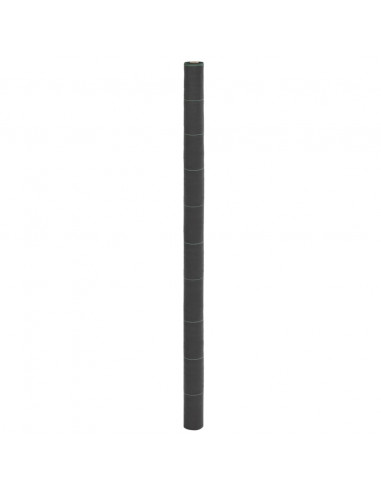 Membrana Antierbacce Nera 2x25 m in PP