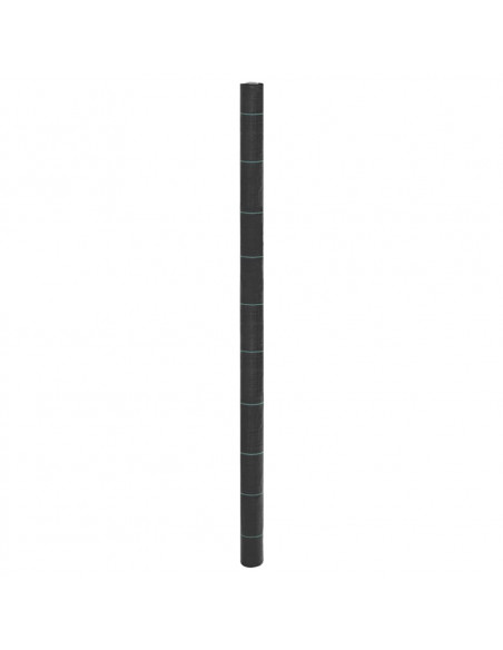 Membrana Antierbacce Nera 2x10 m in PP