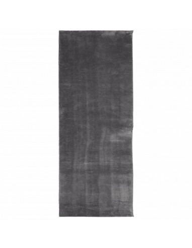 Tappeto a Pelo Corto HUARTE Morbido Lavabile Antracite 80x200cm