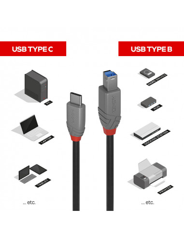 Lindy 36665 cavo USB USB 3.2 Gen 1 (3.1 Gen 1) 0,5 m USB C USB B Nero