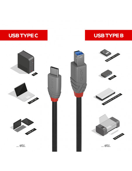 Lindy 36665 cavo USB USB 3.2 Gen 1 (3.1 Gen 1) 0,5 m USB C USB B Nero
