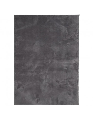 Tappeto Pelo Corto HUARTE Morbido Lavabile Antracite 240x340 cm