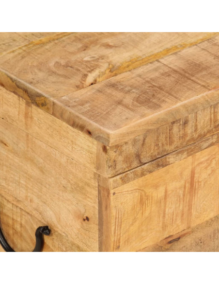 Contenitore Portaoggetti 39x28x31cm in Legno Massello di Mango