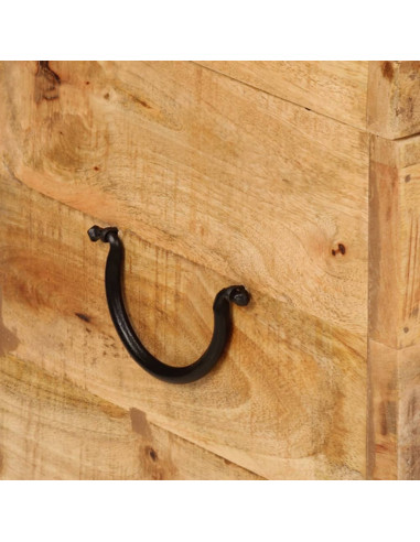 Contenitore Portaoggetti 39x28x31cm in Legno Massello di Mango