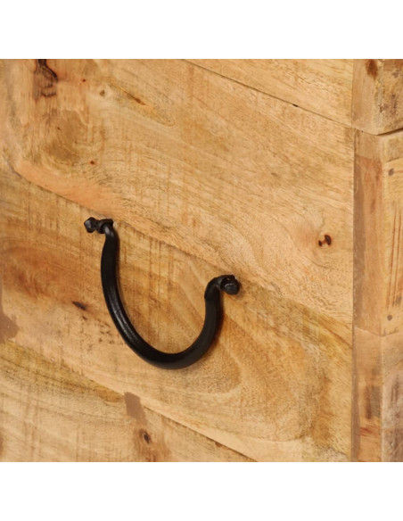 Contenitore Portaoggetti 39x28x31cm in Legno Massello di Mango