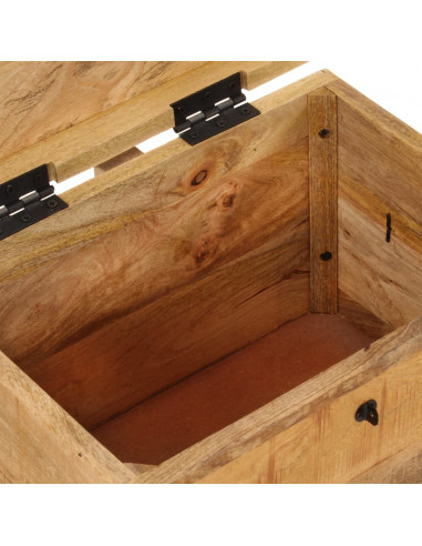 Contenitore Portaoggetti 39x28x31cm in Legno Massello di Mango