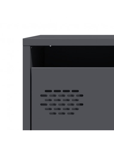 Credenza Antracite 101,5x39x73,5cm in Acciaio Laminato a Freddo