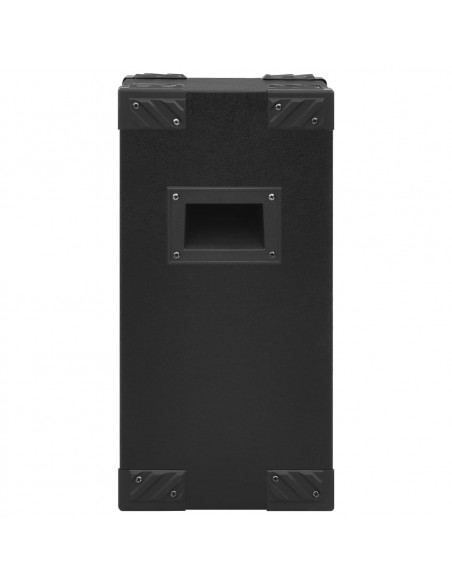Altoparlanti da Palco Hifi Professionali Passivi 2 pz 800W Neri