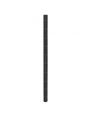 Membrana Antierbacce Nera 2x50 m in PP