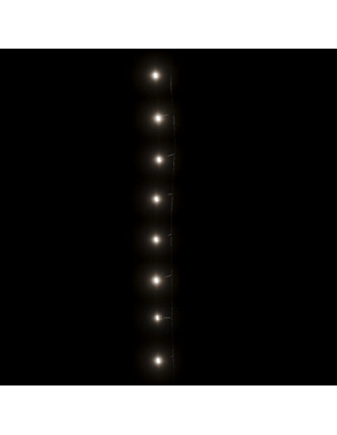 Stringa LED con 150 Luci LED Bianco Freddo 15 m PVC