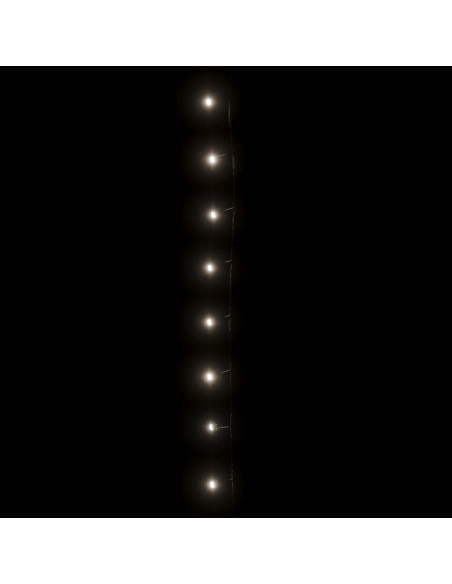 Stringa LED con 300 Luci LED Bianco Freddo 30 m in PVC