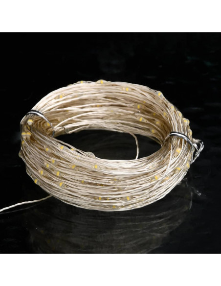 Stringa LED con 300 Luci LED Bianco Caldo 30 m PVC
