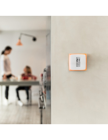 Netatmo Termostato Wifi Intelligente per caldaia individuale