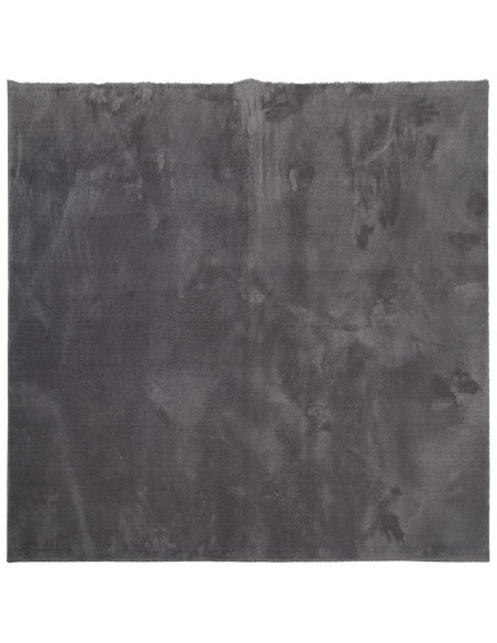 Tappeto Pelo Corto HUARTE Morbido Lavabile Antracite 120x120 cm