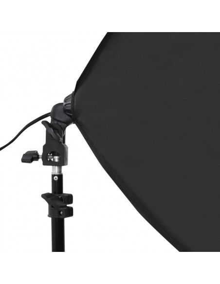 Luci Professionali da Studio 2 pz 40x60 cm in Acciaio Nero