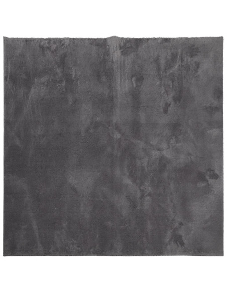 Tappeto Pelo Corto HUARTE Morbido Lavabile Antracite 240x240 cm
