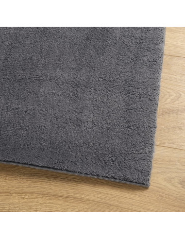 Tappeto Pelo Corto HUARTE Morbido Lavabile Antracite 240x240 cm