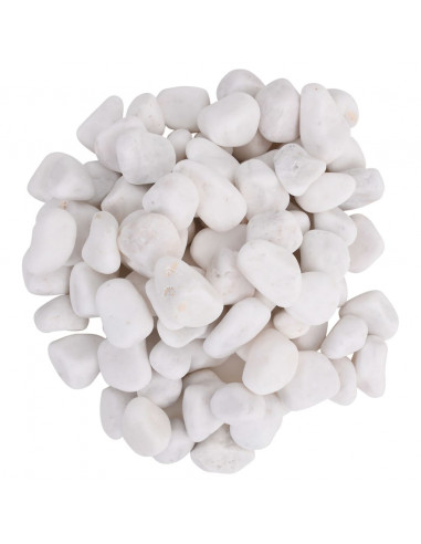 Ciottoli Levigati 25 kg Bianchi 2-5 cm